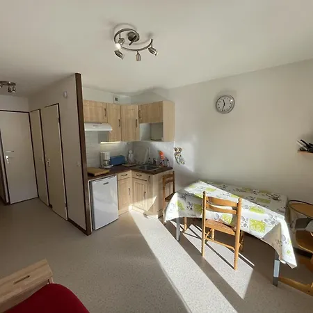 T2 Avec Balcon Au Coeur Du Lioran - Fr-1-787-83 Appartement *